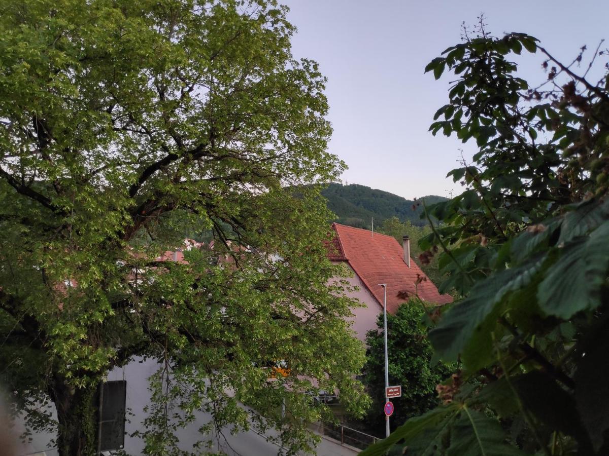 Ferienwohnungen Und Zimmer In Reutlingen-Goenningen Exterior photo